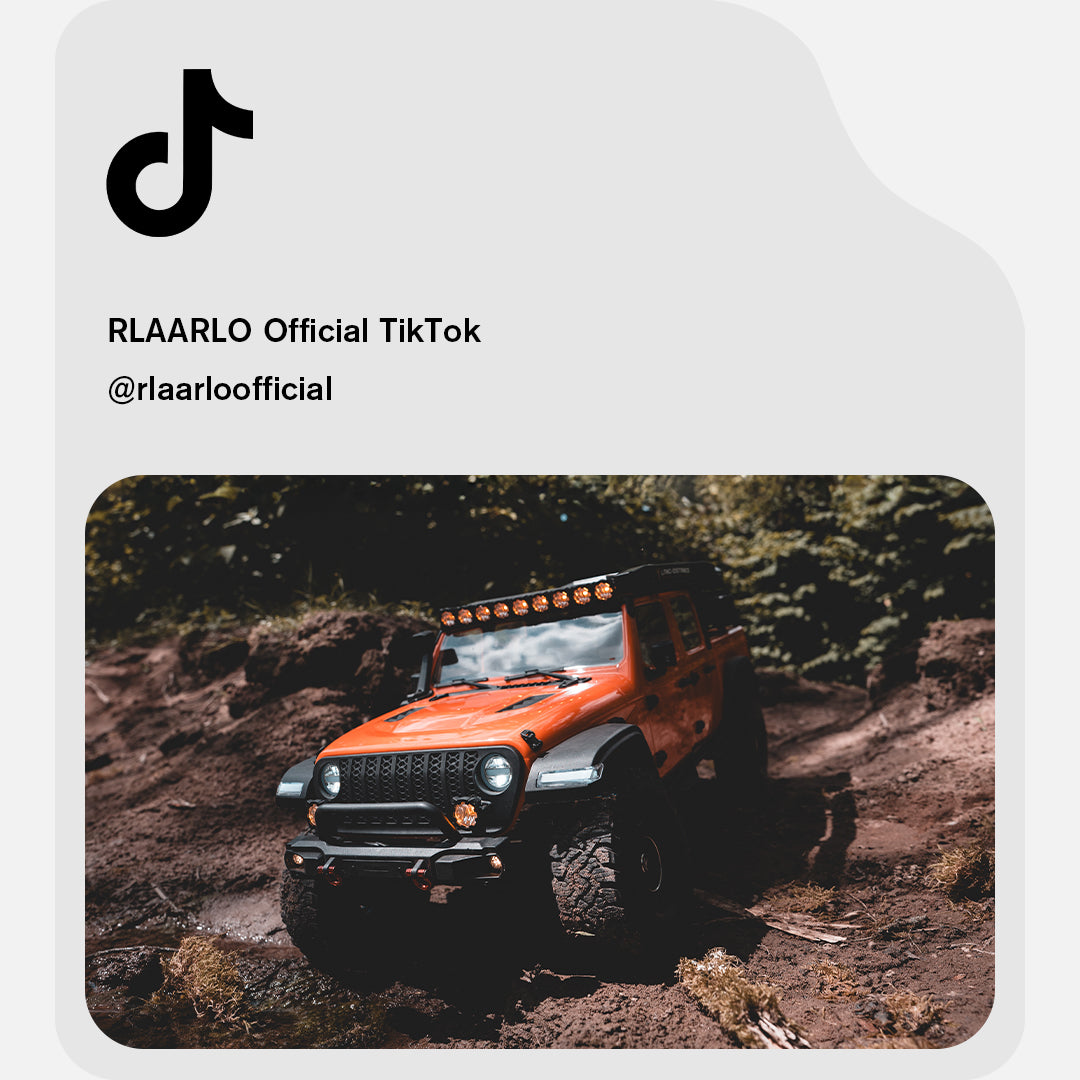 rlaarlo_Tik_Tok