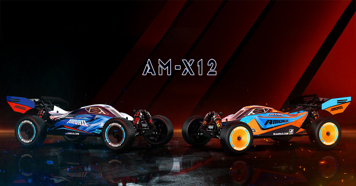 AM-X12  Buggy Time Line