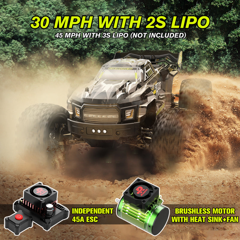 RIAARIO 1/14 RTR Brushless Independent ESC RC Monster Trucks RLR-14025E(A)