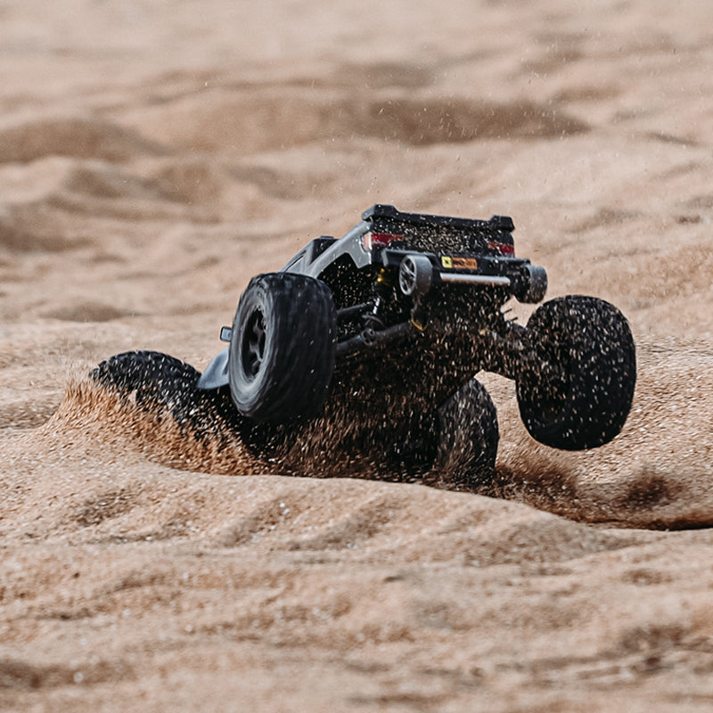 Rlaarlo RC Car Rlaarlo Omni-Terminator Carbon Fiber MINI 1:10 Scale RTR Brushless Monster Truck, RZ001B-C