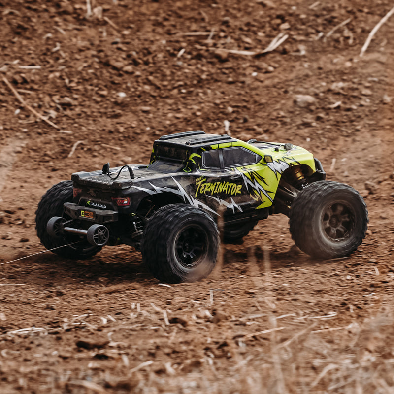 Rlaarlo RC Car Rlaarlo Omni-Terminator Metal MINI 1:10 Scale RTR Brushless Monster Truck, RZ001G-A