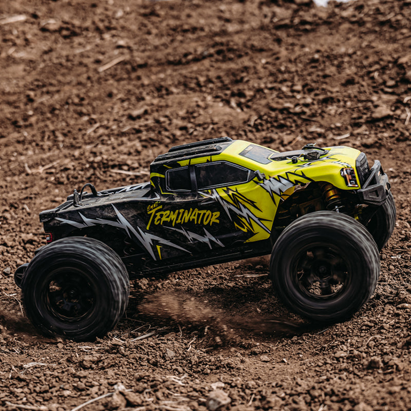 Rlaarlo RC Car Rlaarlo Omni-Terminator Metal MINI 1:10 Scale RTR Brushless Monster Truck, RZ001G-A