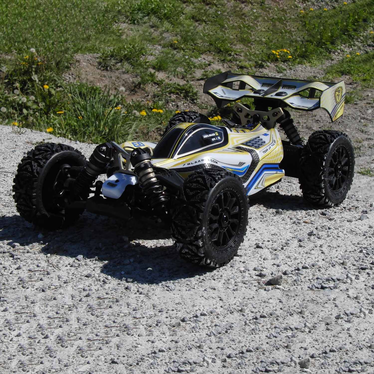 Rlaarlo 1/8 4WD Buggy Dragon Scale Knight
