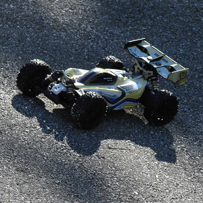 Rlaarlo 1/8 4WD Buggy Dragon Scale Knight