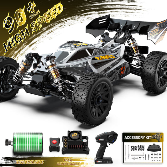 Rlaarlo 1/14 Carbon Fiber Brushless Buggy, 80+ KMH RTR RLR-14023 (With Independent ESC）