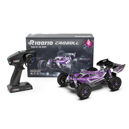 Rlaarlo 1/14 Carbon Fiber Brushless Buggy, 80+ KMH RTR RLR-14023 (With Independent ESC）