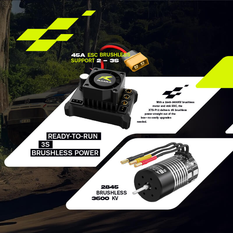 Rlaarlo Metal Brushless 4WD RTR Rally Car XTS-P12