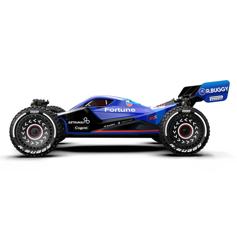 Rlaarlo RC Car 1/12 Metal Brushless 4WD RTR Buggy,X12S
